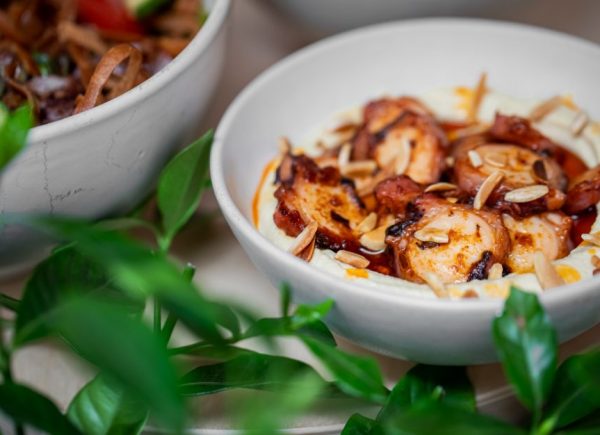 HUMMUS CON PULPO_3 HUMMUS CON PULPO_3
